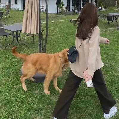 校园怪物